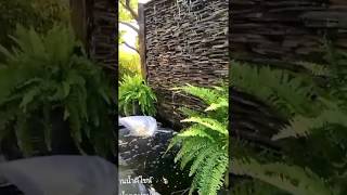 สวนน้ำตก บ่อปลา ม่านน้ำดีไซน์ สวนน้ำตก บ่อปลา ม่านน้ำดีไซน์
