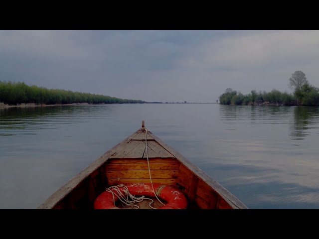 youtube-background