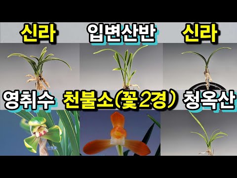 유튜브 썸네일