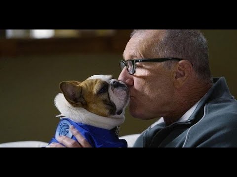 Jay and Stella scenepack // Modern Family