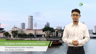 Fortnightly Weather Outlook - 16 to 28 Feb 2021