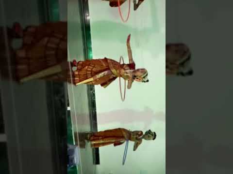 lithika sree tirumala