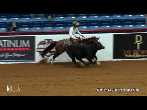 Opus Cat Olena ridden by Matt Koch - 2019 Tres Osos Derby Cow Work **226**