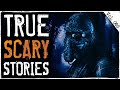 CHASED IN THE WOODS AFTER DARK 7 True Scary Horror Stories From Reddit Vol 86
