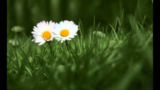 Crystal Fighters You and I (Lyrics)