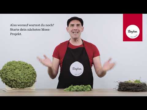 Deko-Tipp: Islandmoos – das unverzichtbare Deko-Material