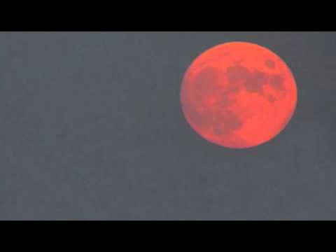 Bye bye, Blackbird ☆ MELODY GARDOT