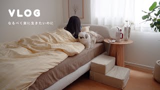 VLOG：終わりの見えない体調不良と過ごす夏..🫩🌀好きなもので埋め尽くして抗ってみる🌼