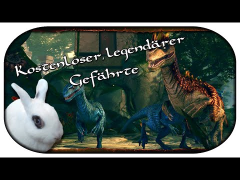 NEVERWINTER: Special 🐇 Kostenloser legendärer Gefährte, Schatzladen und zukünftige Erweiterung