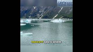 Alaska Glacier Cruise: Star Princess & Secret Endicott Arm! #shorts