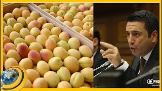 Ջերմուկ, ծիրան և հոսանք՝ գազի դիմաց. ի՞նչ կգներ Ալեն Սիմոնյանն Ադրբեջանից