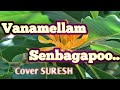 Vanamellam Senbagapoo Nadodi Pattukaran Ilayaraja Cover Suresh