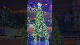 STAR PRINCESS Christmas Tree Lighting Celebration