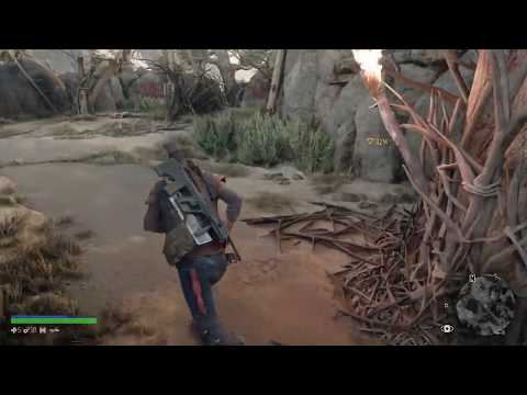 Days Gone Get to Lisa What Have They Done