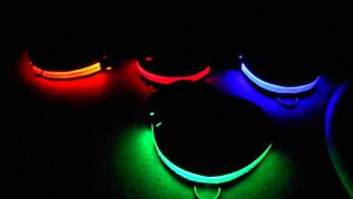 preview picture of video 'Dog Collars LED Light Up  ***WOW***Pet Safety.. Chain Id Tag'