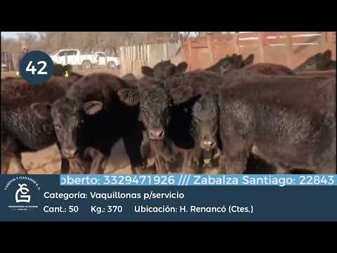 Lote VQ P/ SERVICIO - Huinca Renanco CBA