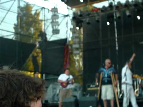 el pescado y sus bacalaos en madryn rock