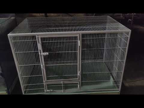Cage 1p 4x2.5x2.5 with angle door and revolving system #cage #cages #parrot #parrots episode no 679