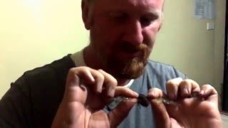 Big Bug!  Large Strange Beetles the Cicada is Creepy but Edible