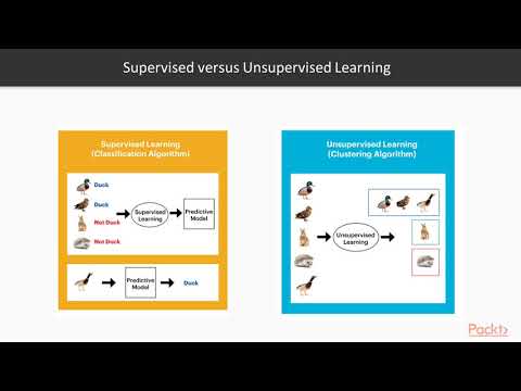 Programming for Data Science with R Supervised versus Unsupervised Learning|packtpub com
