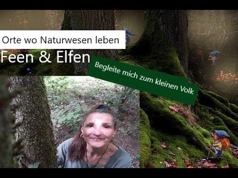 Naturwesen gibt es wirklich Was ist der Unterschied zwischen Feen und Elfen - Orte wo sie leben