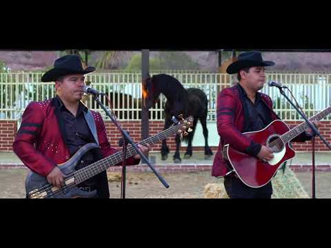 Los Hijos De Sinaloa - Quise Pelear (Video Musical) (Desde El Rancho 2019)