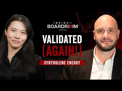 Synta Energy Llc