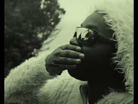 LORD APEX - WHATS THE WORLD MEAN TO YOU PT. 2 (PROD. JNR)