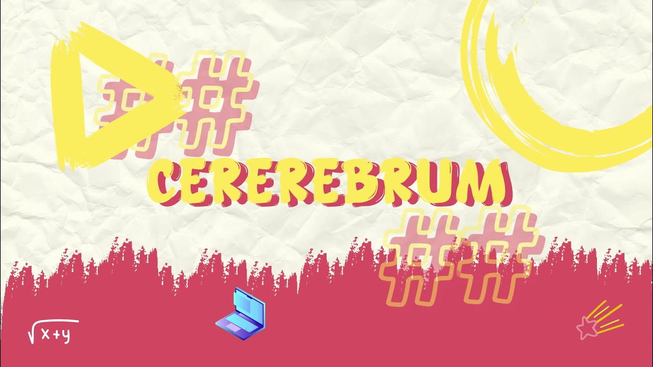 SOAL SNBT 2024 pdf -  Ini Rahasia Tersembunyi dalam SOAL SNBT 2024 PDF Kunci Jawaban Paling Dicari 9