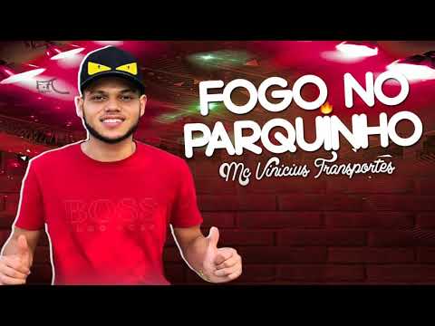 MC VINICIUS TRANSPORTES - FOGO NO PARQUINHO - DJDENTÃO O VENENO DO RATO