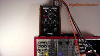 Video thumbnail for Moog MF-108M Clusterflux Moogerfooger by bigcitymusic