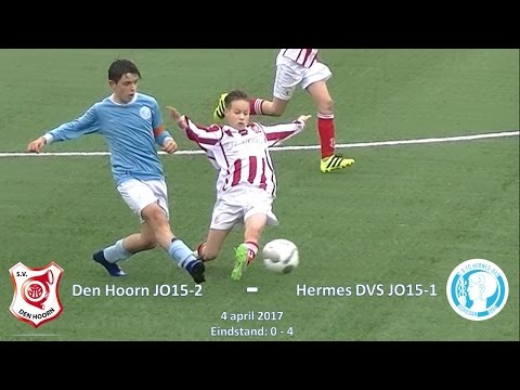 Samenvatting Den Hoorn JO15-2 - Hermes DVS JO15-1