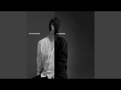 Alleinesein (Paul van Dyk Remix)