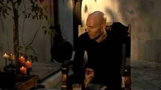 An Introduction to ASHES dIVIDE (Forever Can Be)