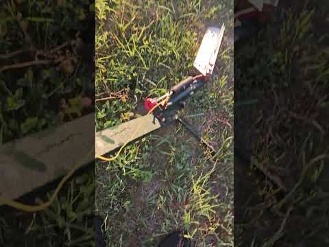 Monday morning 🌄 walk about the Farm 🚜 #country #nature #farm 