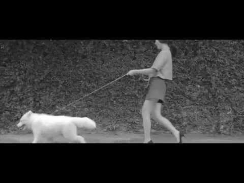 [Trailer] | Le Fox - Women's Ready To Wear