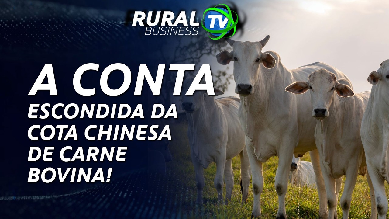 A CONTA ESCONDIDA DA COTA CHINESA DE CARNE BOVINA!