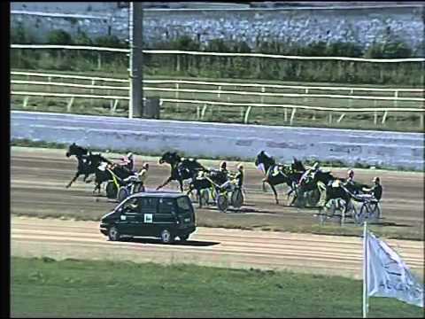 Trotto 31/05/2015 - 5° corsa