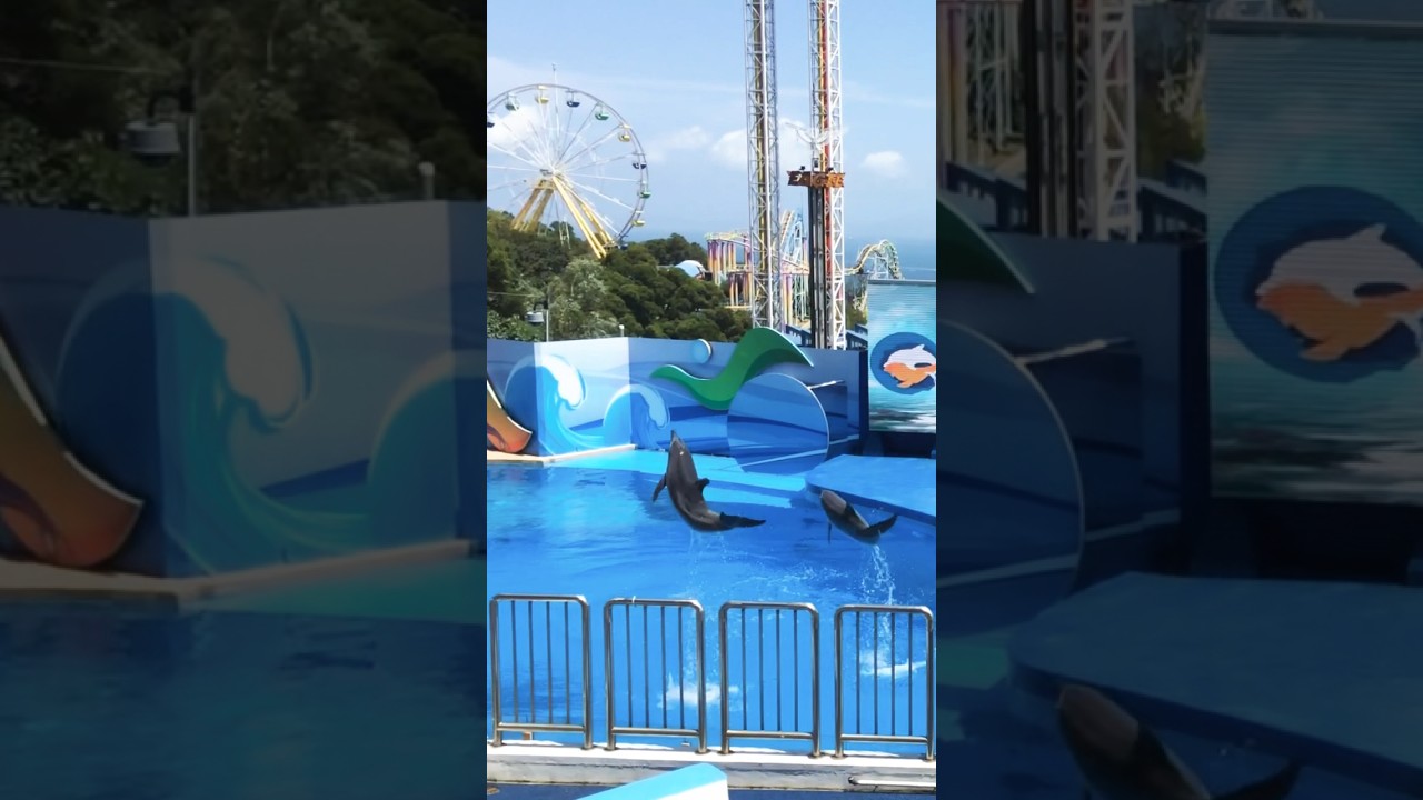 YouTube Short thumbnail