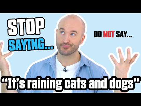 Stop Saying "It's Raining Cats and Dogs!"