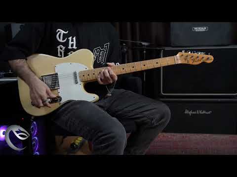 Fender Telecaster 1973 - Maple Fretboard - Blonde image 20