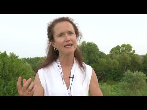 Interview with Fenella France | ICCROM