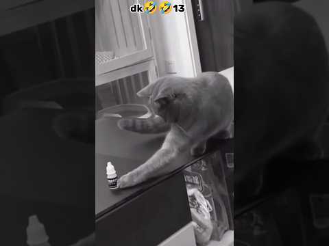 wait for end 🤣🤣 #funnyshorts #viral #shorts #dharmdkpatel