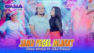 Download lagu Jamu Pegel Mlarat - Intan Afifah Ft Joko Crewol (Omega Music) mp3