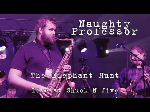 Naughty Professor: The Elephant Hunt [4K] 2015-10-10 - Shuck N Jive