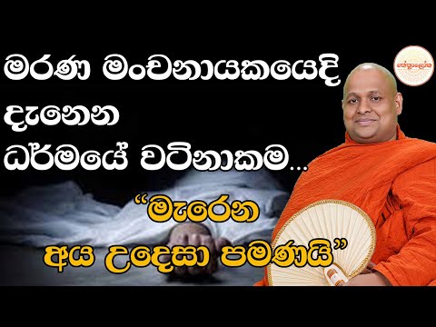 Kuttikulame Pemalankara Thero l Meth Neth Pamula Bana  l 2025 12 28