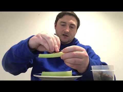 Nutrition Play of the Day: Ants on a Log Recipe