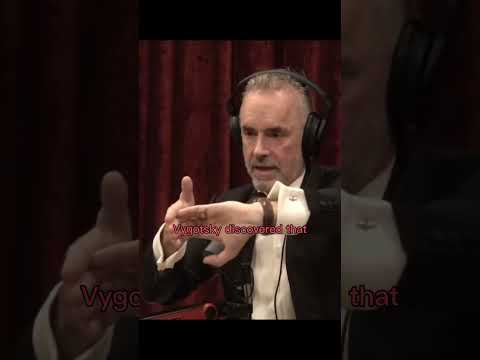 The Genius Of.... MF DOOM