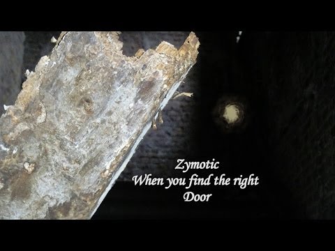 Zymotic - When you find the right door.