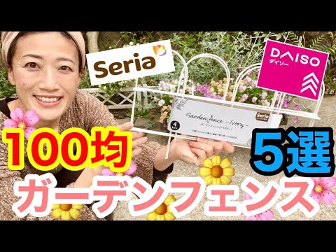 苗を何に入れますか？ 4 つの回復アイデア + ビデオ手順  庭園